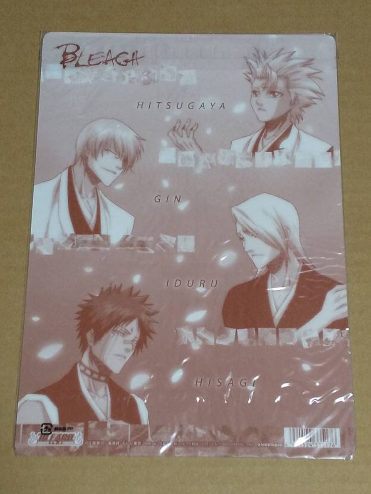 Amazon.co.jp: 下敷き『BLEACH ブリーチ 日番谷冬獅郎 市丸ギン